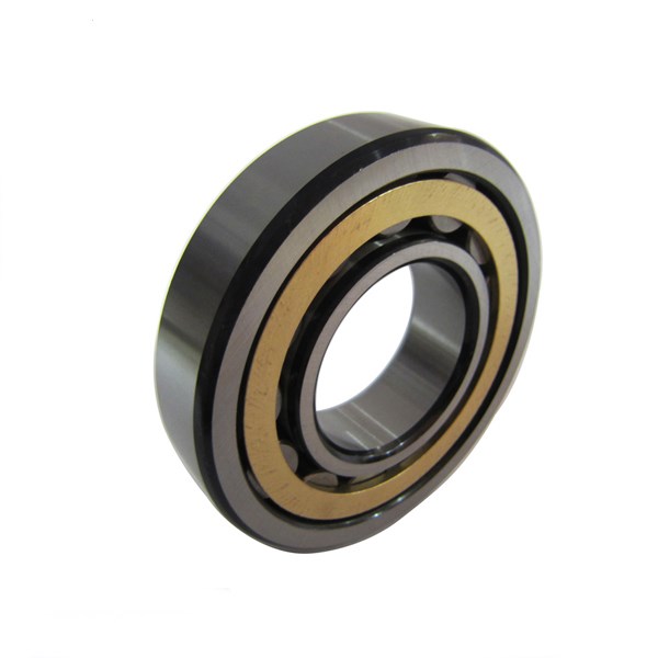 N series Cylindrical Roller Bearing N202 N203E N203 N303EM N1004 N204M N204EM N204E N204 N22ME N2204EM N2204 N304EM