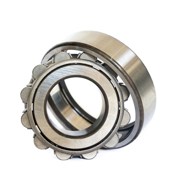 NUP series Cylindrical Roller Bearing NUP202 NUP203 NUP204 NUP2204 NUP206 NUP307 NUP2206