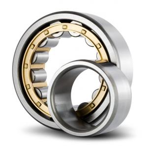 NUP series Cylindrical Roller Bearing NUP202 NUP203 NUP204 NUP2204 NUP206 NUP307 NUP2206
