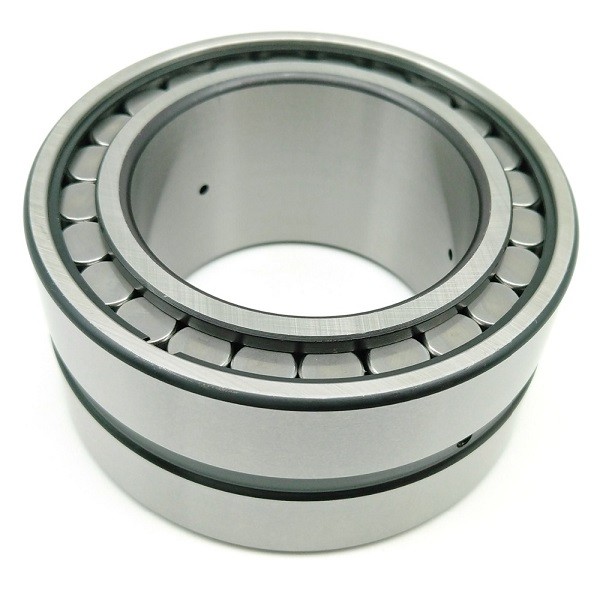 SL series Cylindrical Roller Bearing SL045005PP SL185004