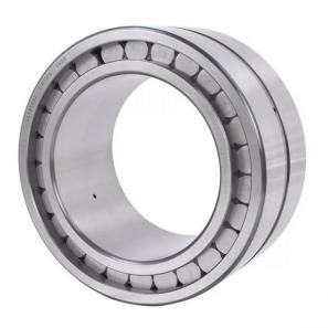 SL series Cylindrical Roller Bearing SL045005PP SL185004