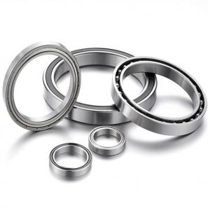 16002 Series Deep Groove Radial Ball Bearings