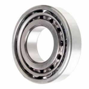 NF series Cylindrical Roller Bearing NF202 NF202TN1 NF202M NF203 NF303EM NNF5004-2LSNV/Y NF204 NF204EM NF204M/C9 NF2204V NF2204EM 