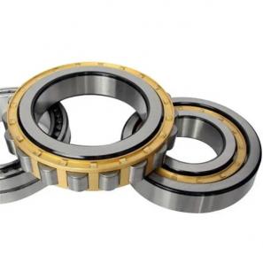 RN series Cylindrical Roller Bearing RN202TN1 RN203M RN203 RN204EM RN304M RN304EM RN205EM RN305EM RN206M RN206F1 RN206F1 RN206 